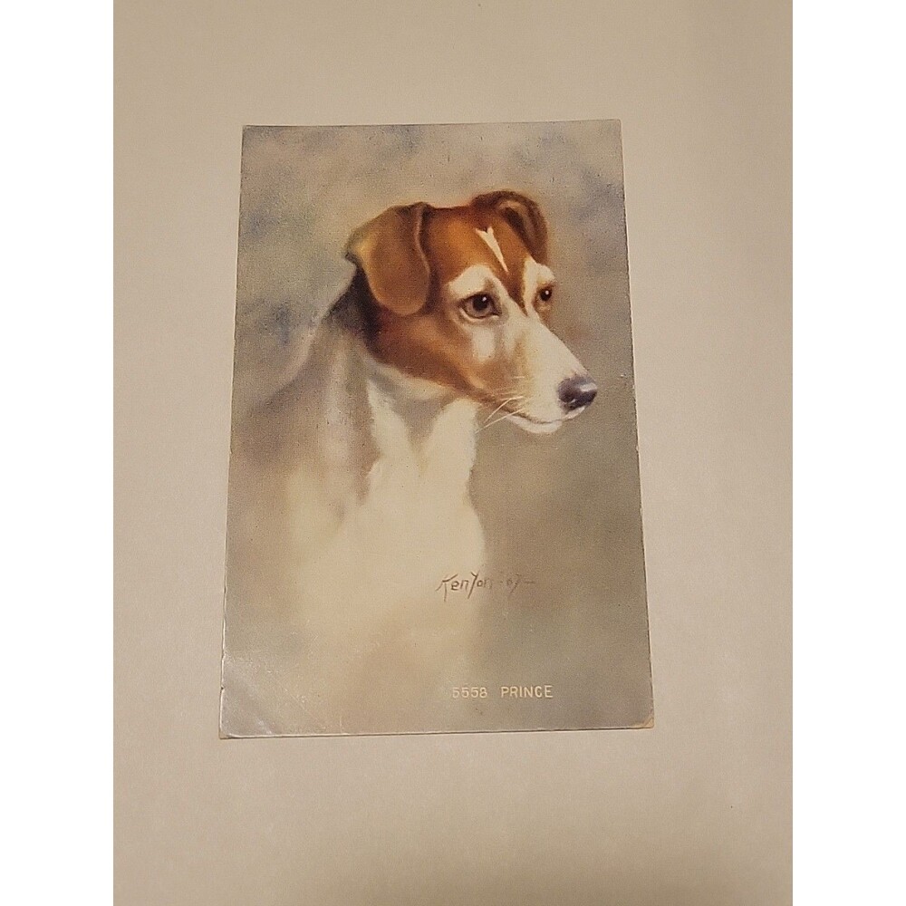 Dog Jack Russell Terrier  Vintage Artist Signed Postcard Zula Kenyon Prince 1910